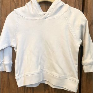 Colored Organics Madison Hooded Pullover in Rain